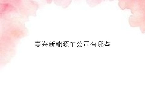 嘉兴新能源车公司有哪些