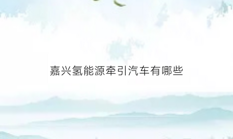 嘉兴氢能源牵引汽车有哪些(嘉兴氢能源概念股)