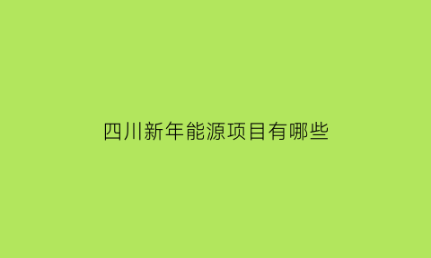 四川新年能源项目有哪些