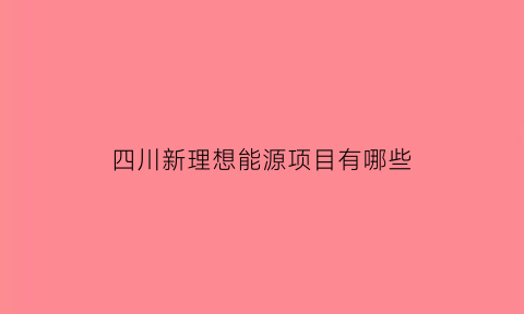 四川新理想能源项目有哪些