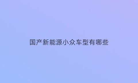 国产新能源小众车型有哪些