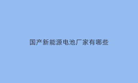 国产新能源电池厂家有哪些