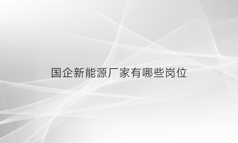 国企新能源厂家有哪些岗位(国企新能源汽车前十名品牌)