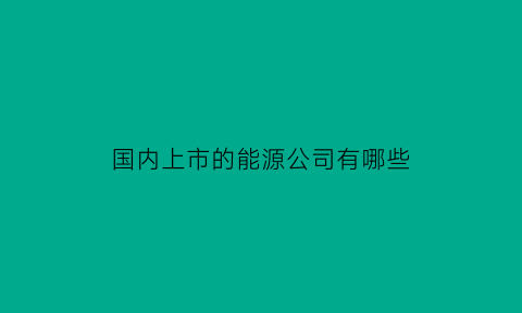 国内上市的能源公司有哪些(我国上市能源公司有哪些)