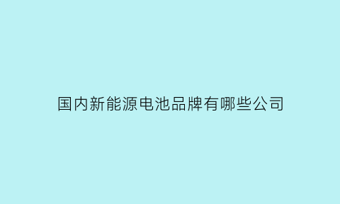 国内新能源电池品牌有哪些公司