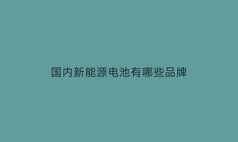 国内新能源电池有哪些品牌(国内新能源动力电池排行)