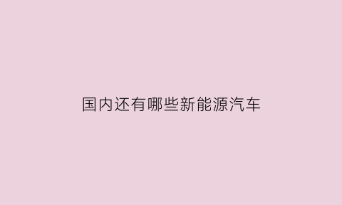 国内还有哪些新能源汽车(国内有几种新能源汽车)