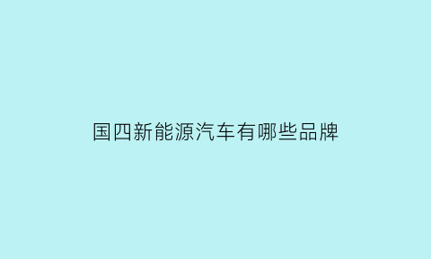 国四新能源汽车有哪些品牌(国四新能源汽车有哪些品牌的)