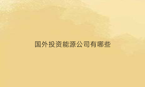 国外投资能源公司有哪些