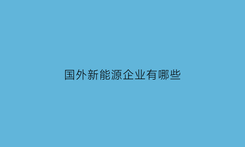 国外新能源企业有哪些