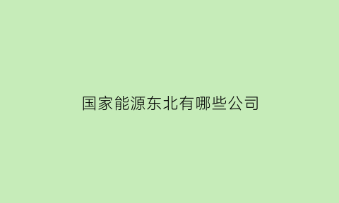 国家能源东北有哪些公司(国家能源集团东北电力有限公司是国企吗)