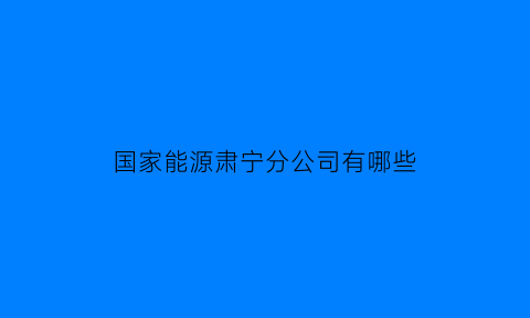 国家能源肃宁分公司有哪些