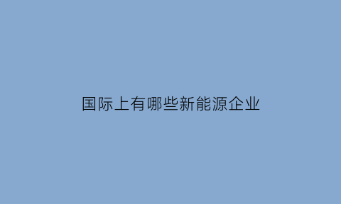 国际上有哪些新能源企业