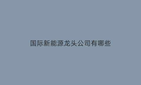 国际新能源龙头公司有哪些(国际新能源龙头公司有哪些企业)