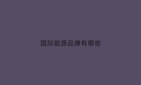 国际能源品牌有哪些