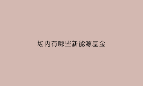 场内有哪些新能源基金(场内有哪些新能源基金企业)