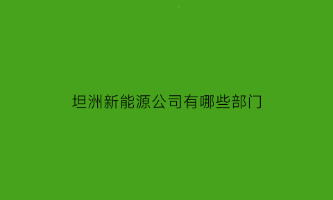 坦洲新能源公司有哪些部门(坦洲新能源公司有哪些部门组成)