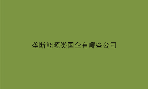 垄断能源类国企有哪些公司(国家垄断能源行业对社会经济发展的作用)