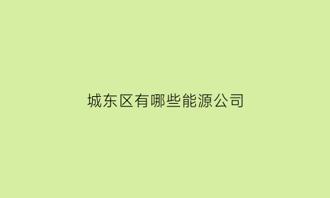 城东区有哪些能源公司