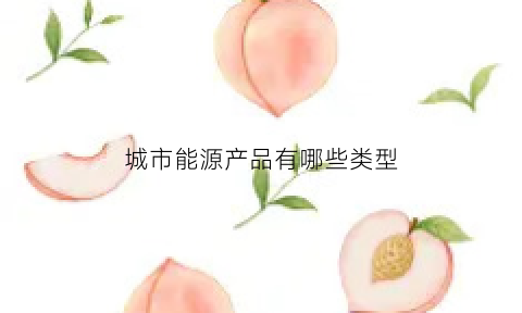 城市能源产品有哪些类型