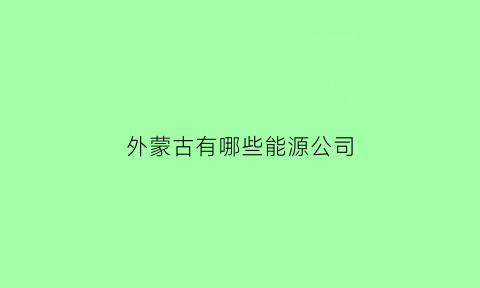 外蒙古有哪些能源公司