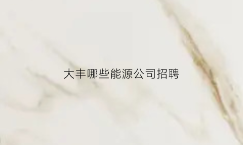 大丰哪些能源公司招聘