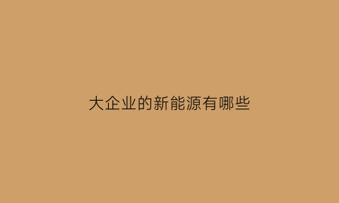 大企业的新能源有哪些