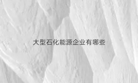 大型石化能源企业有哪些