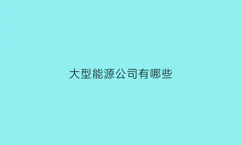 大型能源公司有哪些