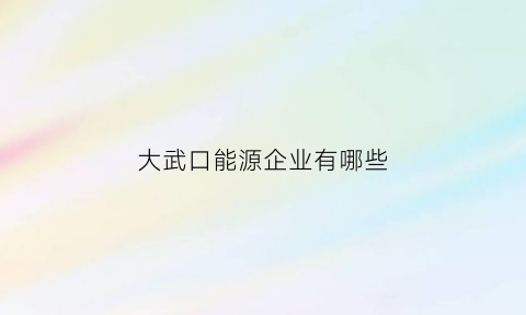 大武口能源企业有哪些