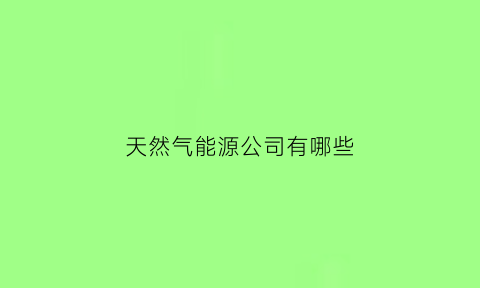 天然气能源公司有哪些(天然气能源有限公司)