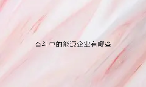 奋斗中的能源企业有哪些(体现奋斗精神的企业)