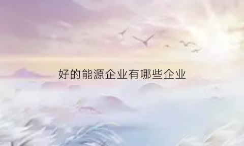 好的能源企业有哪些企业