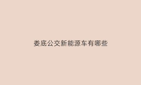 娄底公交新能源车有哪些