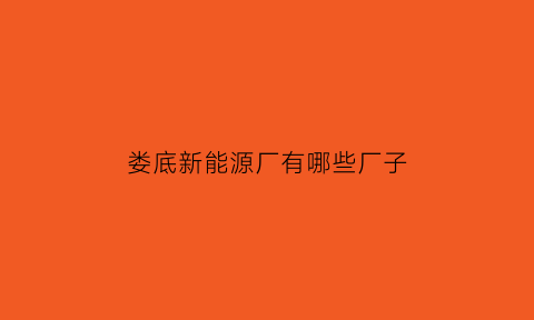 娄底新能源厂有哪些厂子(娄底新能源公司)