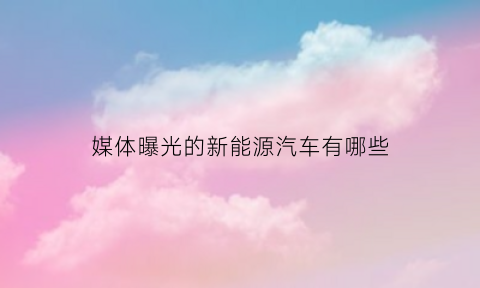 媒体曝光的新能源汽车有哪些