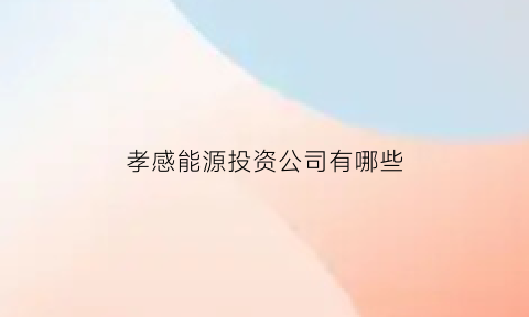 孝感能源投资公司有哪些