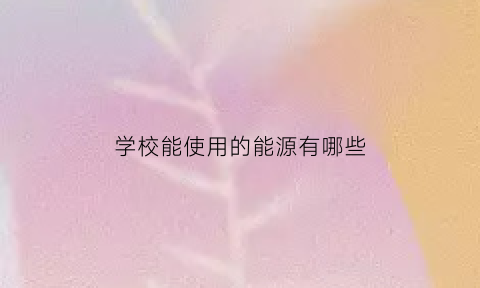 学校能使用的能源有哪些(学校允许使用的电器)