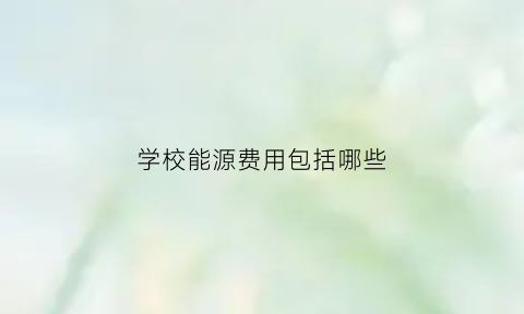 学校能源费用包括哪些