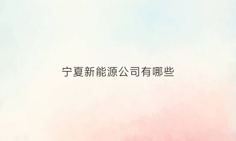 宁夏新能源公司有哪些