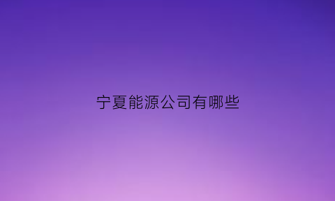 宁夏能源公司有哪些