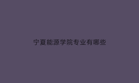 宁夏能源学院专业有哪些