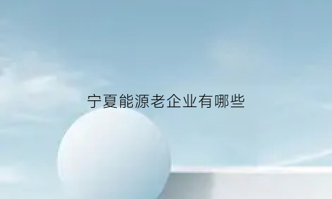 宁夏能源老企业有哪些