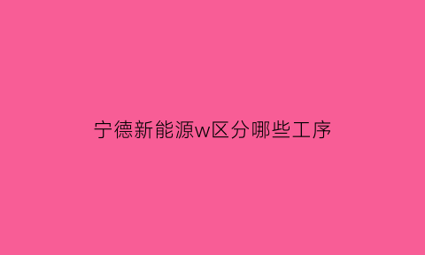 宁德新能源w区分哪些工序