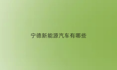 宁德新能源汽车有哪些