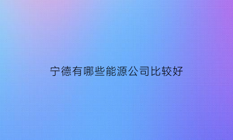 宁德有哪些能源公司比较好