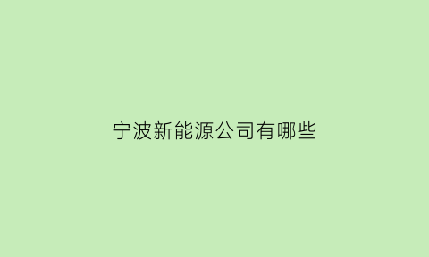 宁波新能源公司有哪些