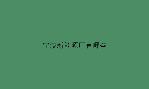 宁波新能源厂有哪些(宁波新能源有限公司)