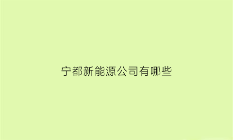 宁都新能源公司有哪些