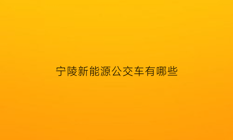 宁陵新能源公交车有哪些